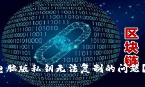 如何解决TP钱包电脑版私钥无法复制的问题？5个实用技巧分享