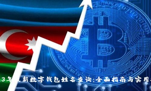 2023年最新数字钱包姓名查询：全面指南与实用技巧