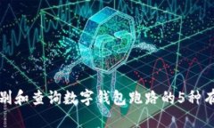 如何识别和查询数字钱包跑路的5种有