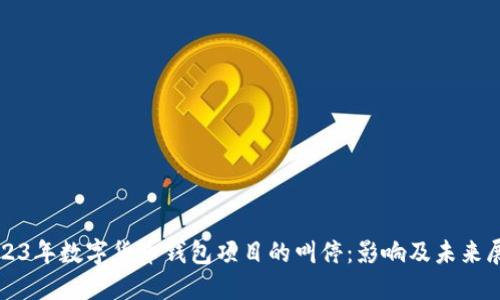 2023年数字货币钱包项目的叫停：影响及未来展望
