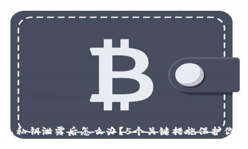 TP钱包私钥泄露后怎么办？5个关键措施保护你的资产